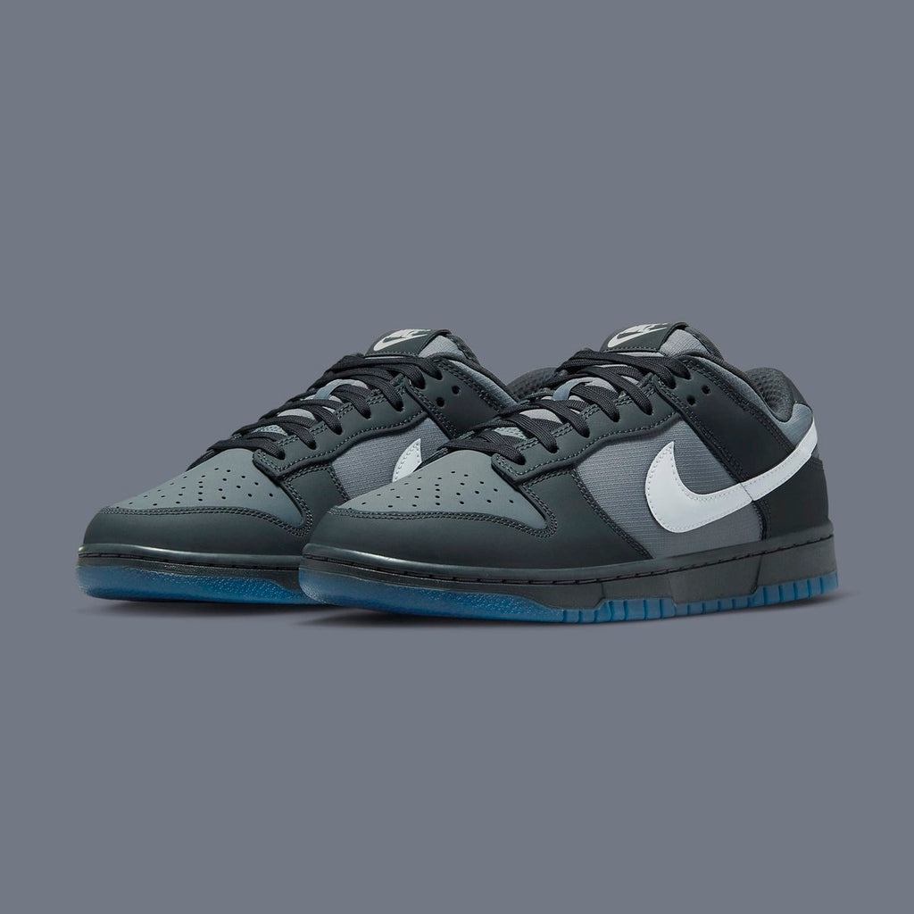 Nike Low Dunk (Shades Of “Anthracite”)